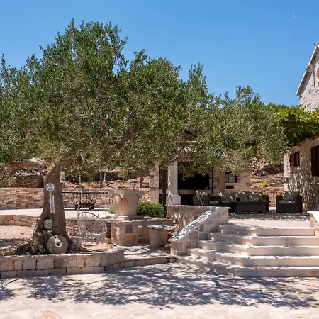 Unique In Olive Field With Salted Swimming Pool-villa Frida