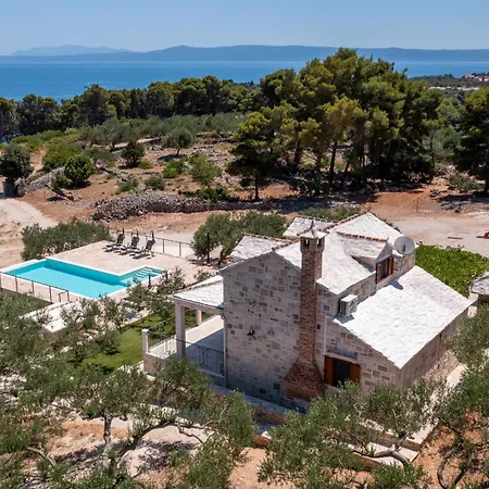 Unique In Olive Field With Salted Swimming Pool-villa Frida ヴィラ