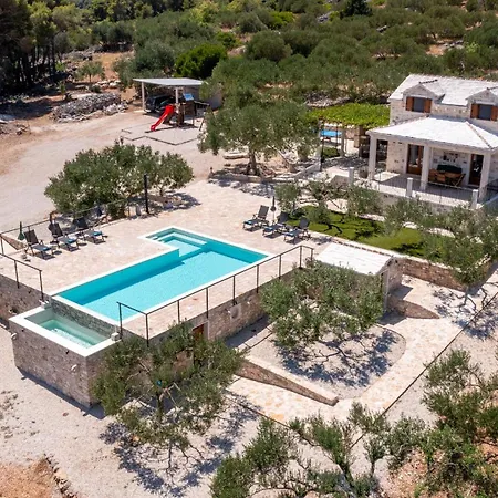 Unique In Olive Field With Salted Swimming Pool-villa Frida *